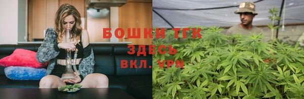 сатива Протвино