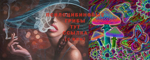 сатива Протвино