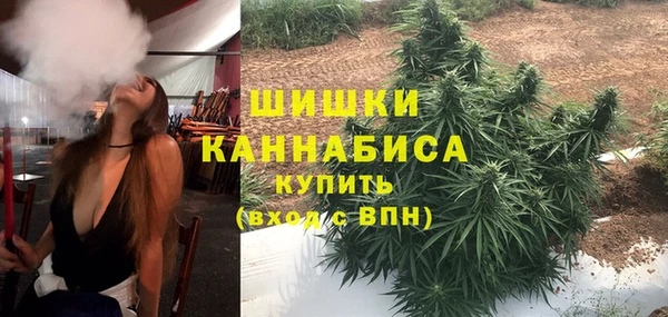 тгк Пролетарск