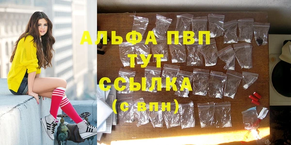 сатива Протвино