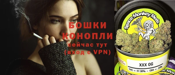 сатива Протвино